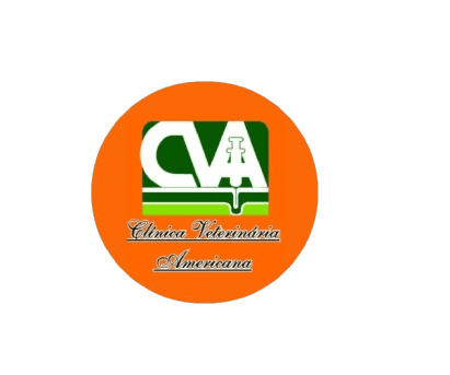 Banho E Tosa Landing Hero Logo